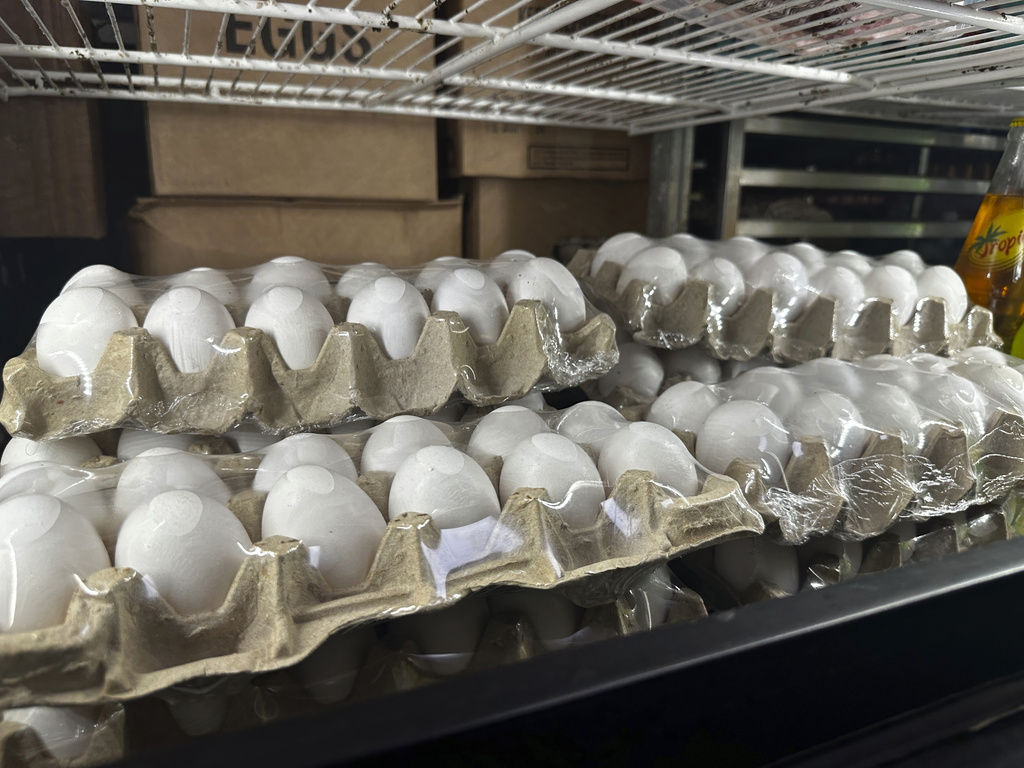 Cartons of eggs sit inside cooler at Norma