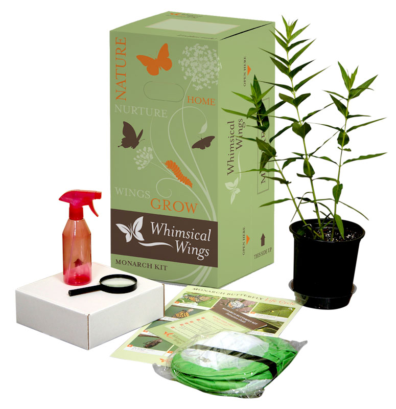 Breakthrough in plant shipping: a patented box designed to safely deliver one-gallon milkweed plants.