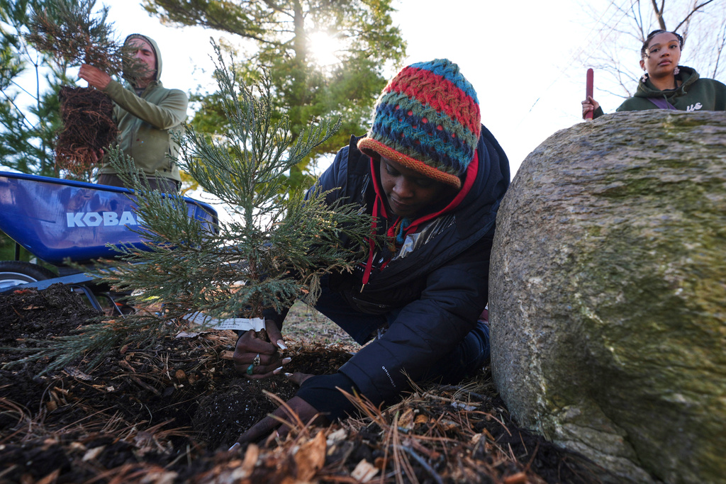 Robyn Redding plants a sequoia tree seedling in Detroit