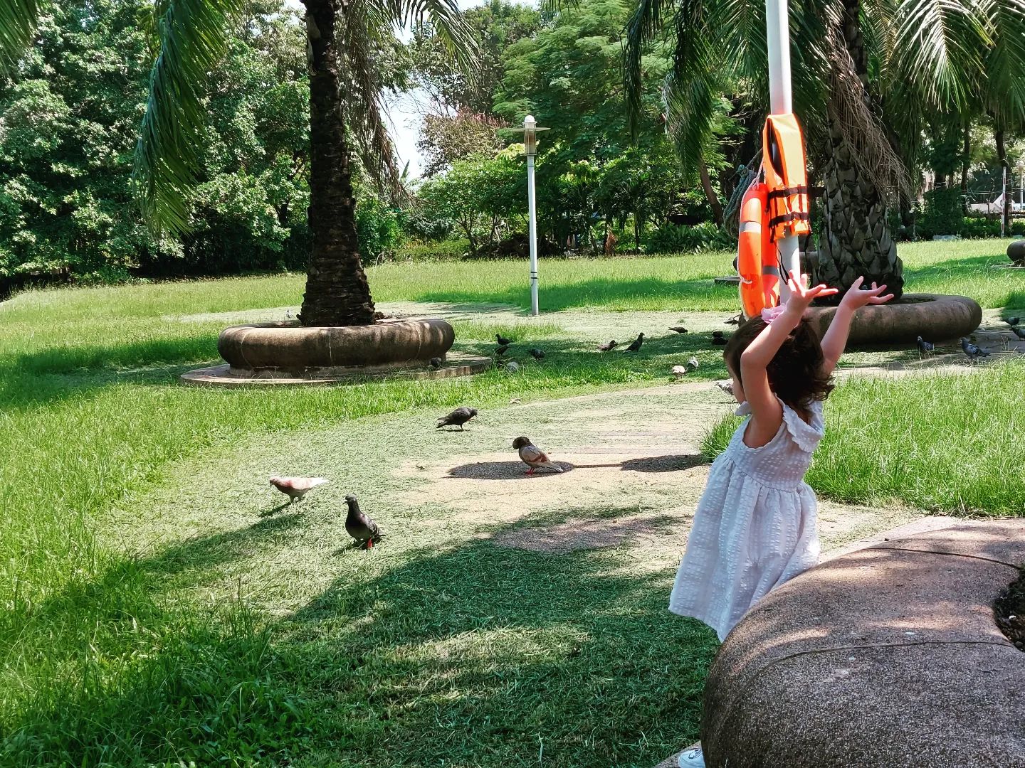 Jubilee Watching Birds Outside The Thai Hospital That Diagnosed Her